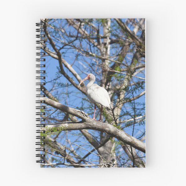 Item preview, White Ibis in the Big Cypress National Preserve designed and sold by Susan Wallace.