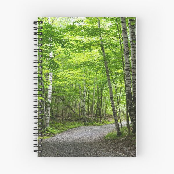 Item preview, Because Summer - Forest Walk Between the Silver Birches designed and sold by Georgia Mizuleva.