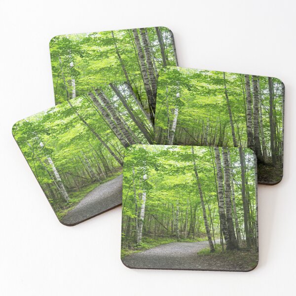 Item preview, Because Summer - Forest Walk Between the Silver Birches designed and sold by Georgia Mizuleva.