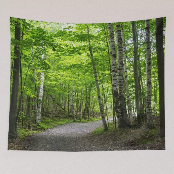 Item preview, Because Summer - Forest Walk Between the Silver Birches designed and sold by Georgia Mizuleva.