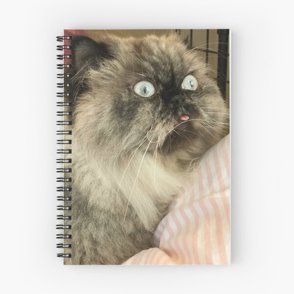 Item preview, Never go full derp designed and sold by super_shimizu.