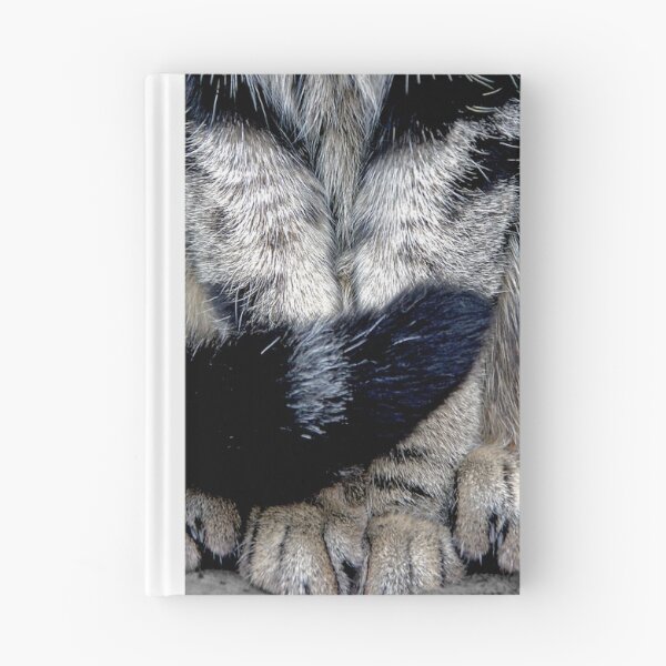 Item preview, Paws for Thought designed and sold by simpsonvisuals.