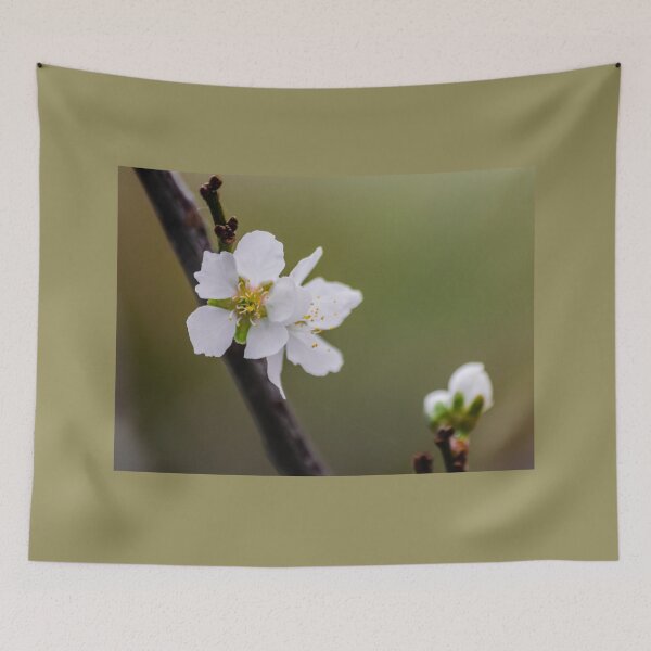 Item preview, Plum flower designed and sold by Martin Leber.