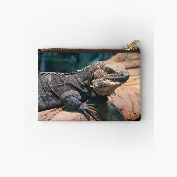 Item preview, Ctenosaura melanosterna designed and sold by Mythos57.