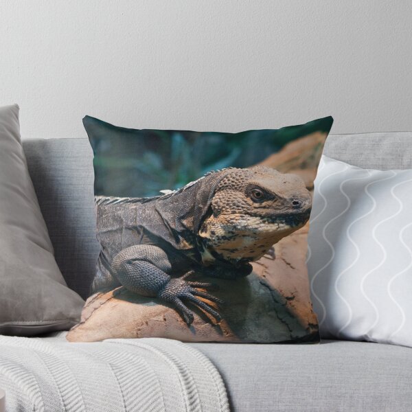 Item preview, Ctenosaura melanosterna designed and sold by Mythos57.