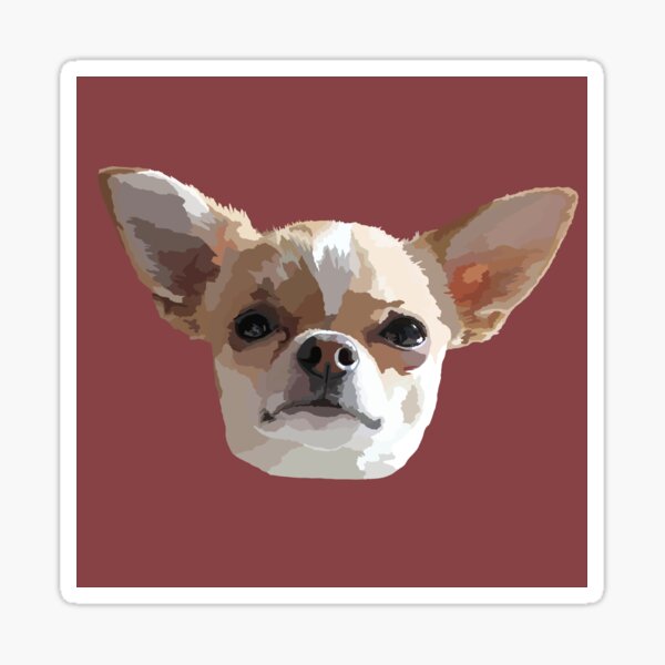 Chihuahua Drawing in Red Sticker
