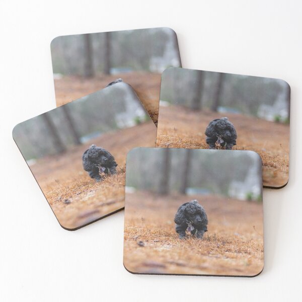 Item preview, Lap dog 2 designed and sold by KensLensDesigns.