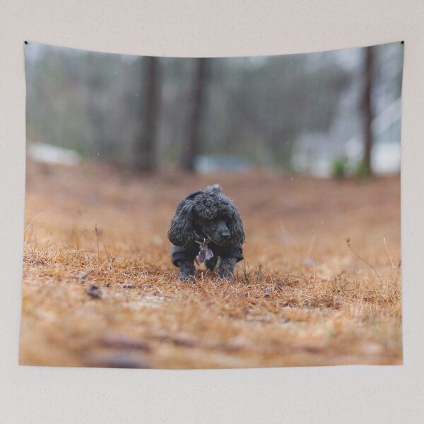 Item preview, Lap dog 2 designed and sold by KensLensDesigns.