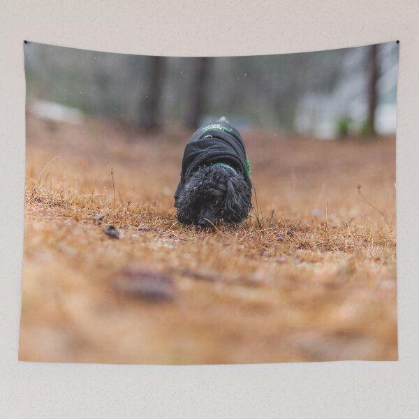 Item preview, Time to sniff designed and sold by KensLensDesigns.
