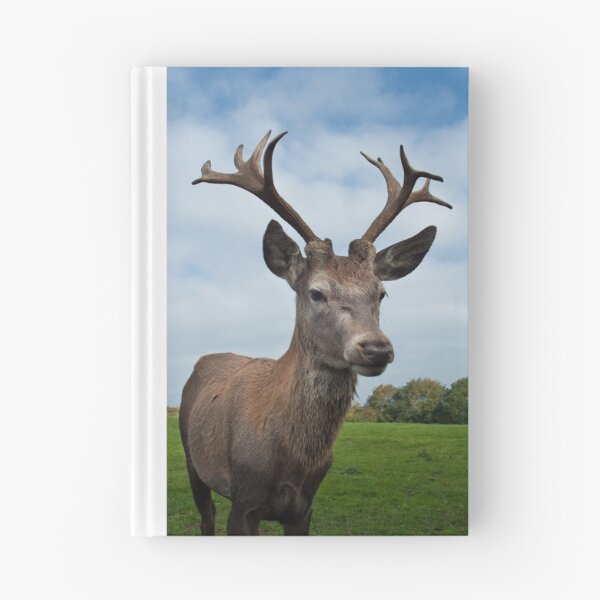 Item preview, Stag, Up Close and Personal designed and sold by dave-vaughan.