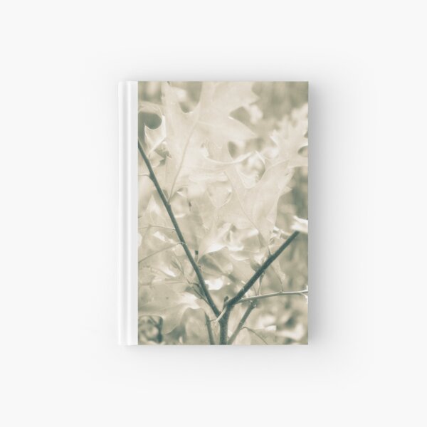 A Summer Reflection Hardcover Journal