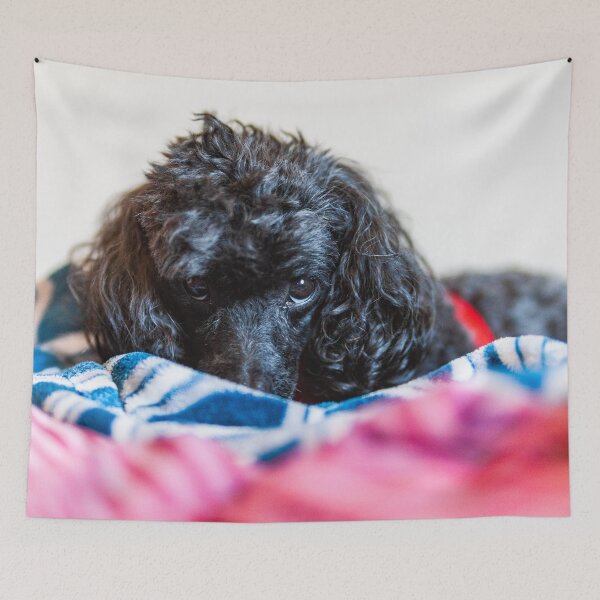 Item preview, Tired eyes designed and sold by KensLensDesigns.