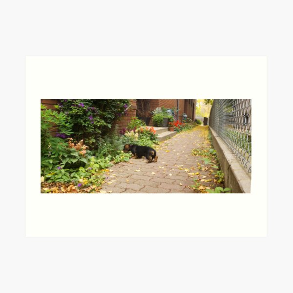 Little Guy, Big World. Art Print