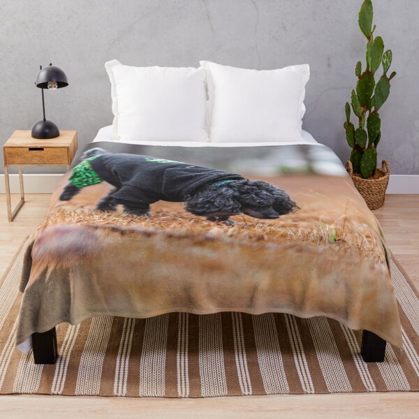 Item preview, I wonder what that is designed and sold by KensLensDesigns.