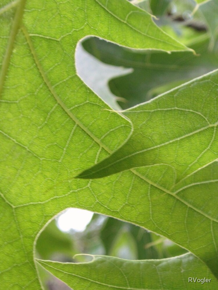 Thumbnail 4 of 4, iPhone Case, Intertwining Leaves designed and sold by RVogler.