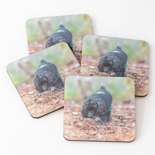 Item preview, Smelling designed and sold by KensLensDesigns.