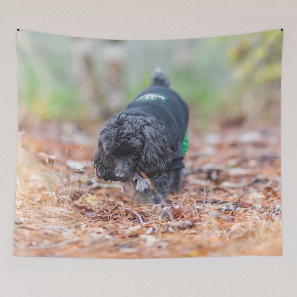 Item preview, Smelling designed and sold by KensLensDesigns.