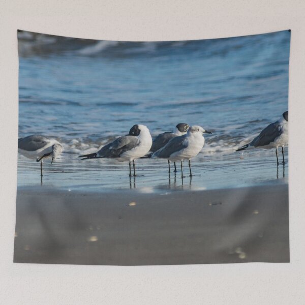 Item preview, Laughing gull and California gull designed and sold by KensLensDesigns.