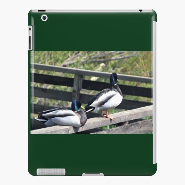 Double Ducks at Abbotsbury Dorset UK iPad Snap Case