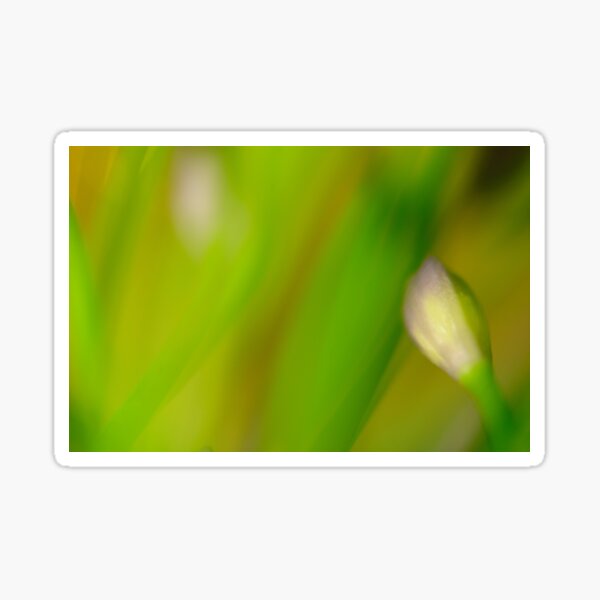 Item preview, Painting with Pixels designed and sold by duncandragon.