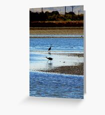 Roaming Greeting Card