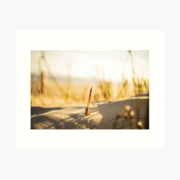 Item preview,  Beachgrass 2 designed and sold by KensLensDesigns.