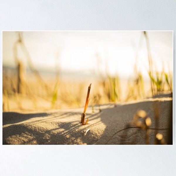 Item preview,  Beachgrass 2 designed and sold by KensLensDesigns.