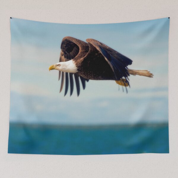 Item preview, 3 Bald Eagle in Alaska  designed and sold by dombhai.