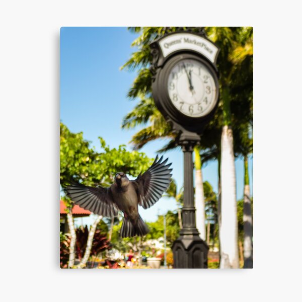 Canvas Print