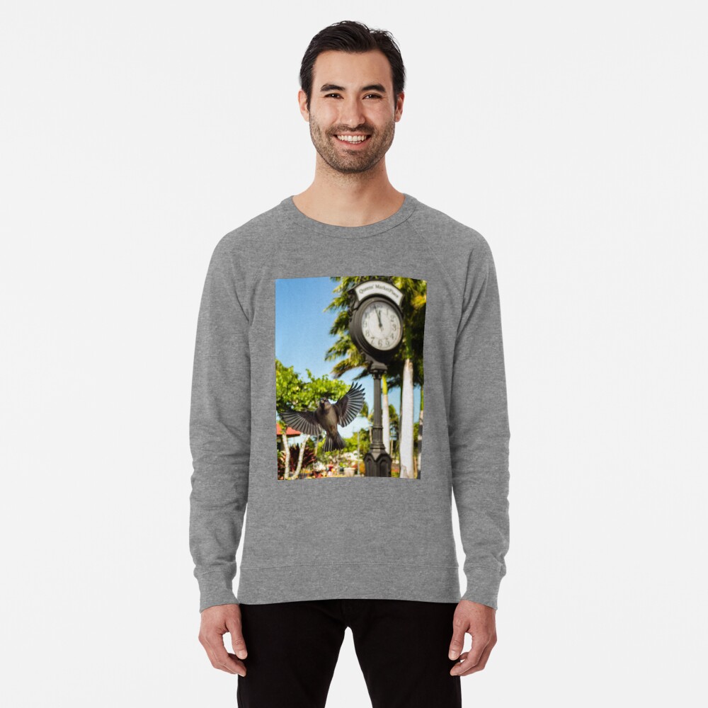 Item preview, Lightweight Sweatshirt designed and sold by darren-j-mcleod.