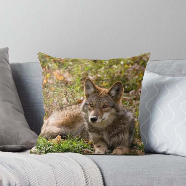 Item preview, Taking Life Easy designed and sold by Tracey  Dryka.