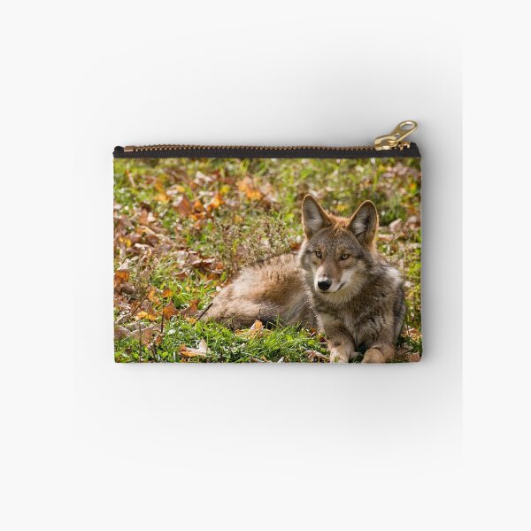 Item preview, Taking Life Easy designed and sold by Tracey  Dryka.