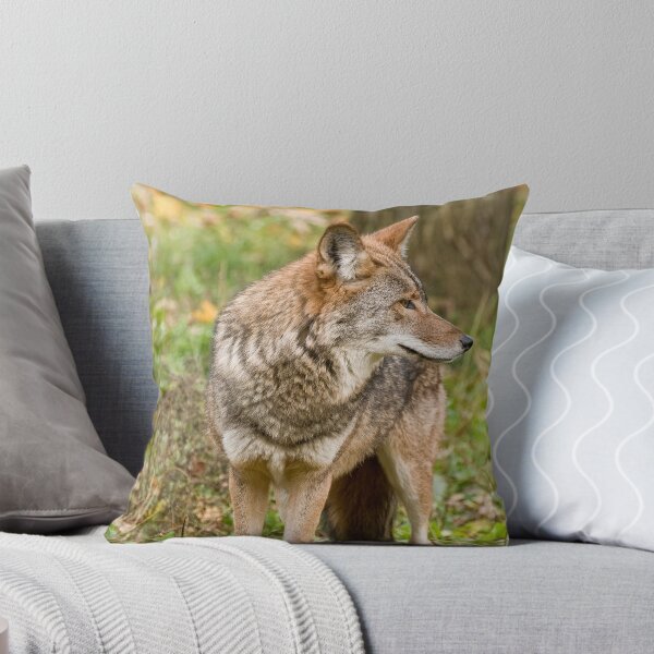 Item preview, This side designed and sold by Tracey  Dryka.