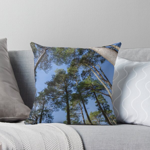 Item preview, Tall Trees and Blue Sky designed and sold by heidipics.
