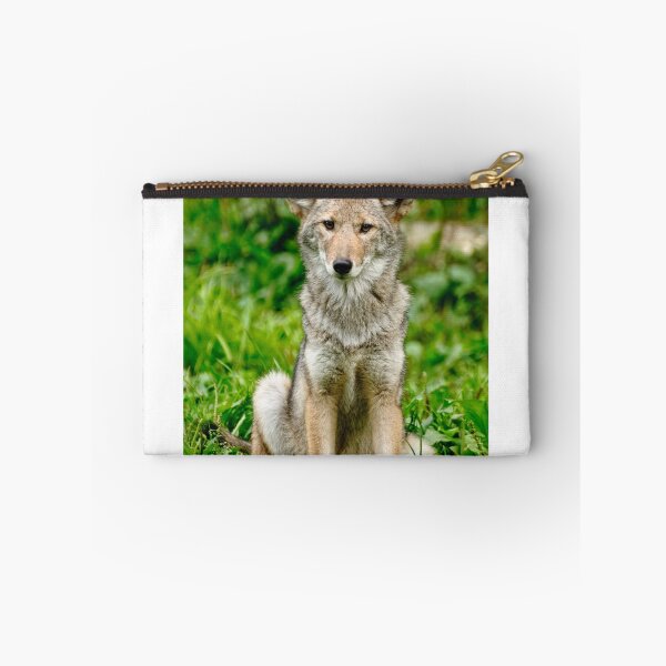 Item preview, Coyotes - Parc Omega, Montebello, PQ designed and sold by Tracey  Dryka.