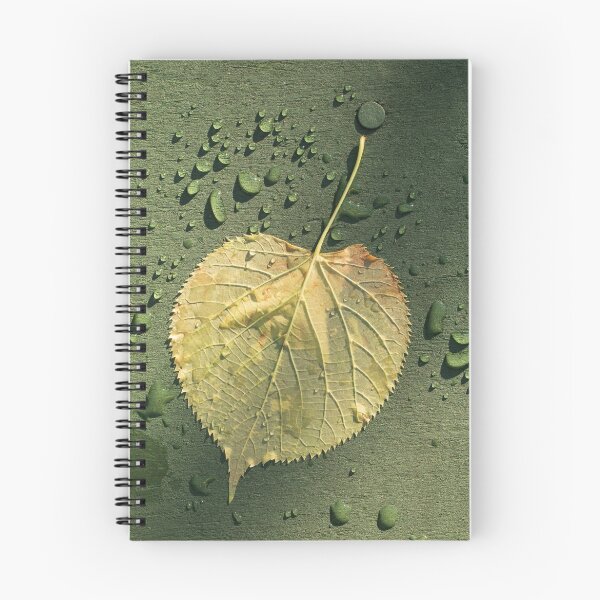 Aperçu de l'œuvre Yellow Leaf after the Rain créée et vendue par Jan Emery.