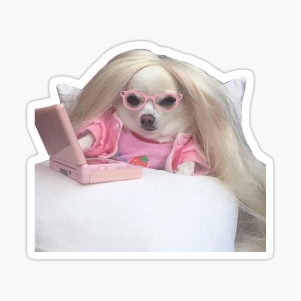 chihuahua Pegatina