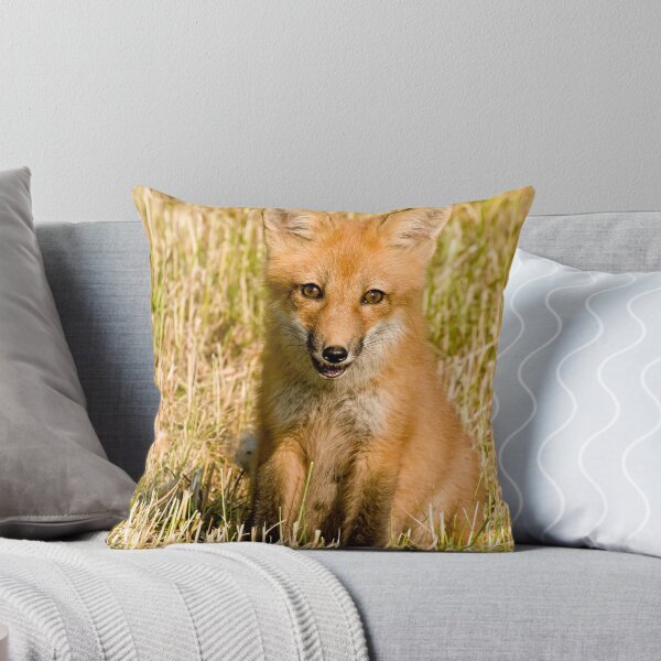 Item preview, Watcha lookin at!!  Red fox kit - Ottawa, Ontario designed and sold by Tracey  Dryka.