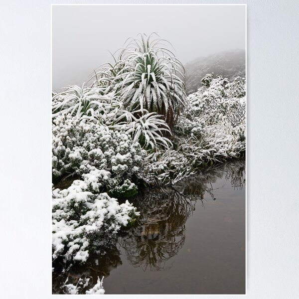 Item preview, Tasmanian Mountain Tarn designed and sold by tasadam.