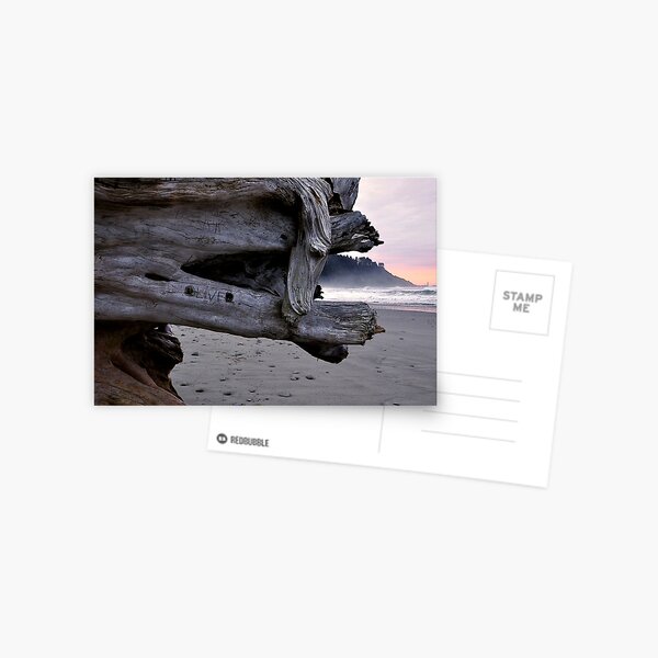 Death of a Dragon Postcard