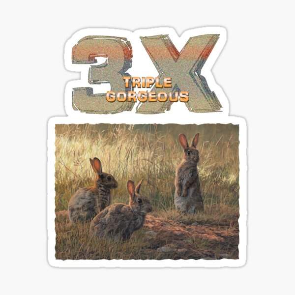 Cute Young Rabbits "TRIPLE GORGEOUS" Sticker