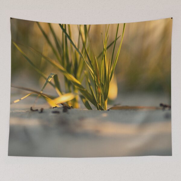 Item preview, Beachgrass 13 designed and sold by KensLensDesigns.