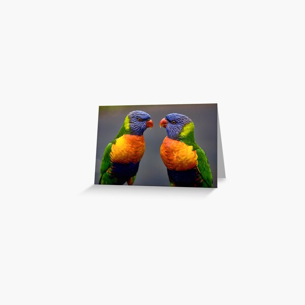 Face Off Greeting Card