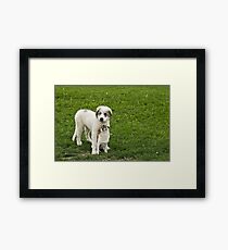 I'm not doing Anything-Silver Creek Ranch (View large) Framed Print