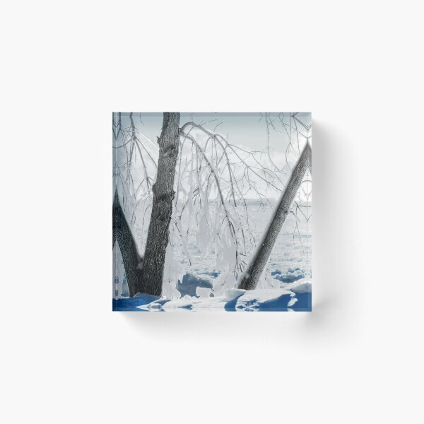 Item preview, Life below zero in Toronto designed and sold by dombhai.