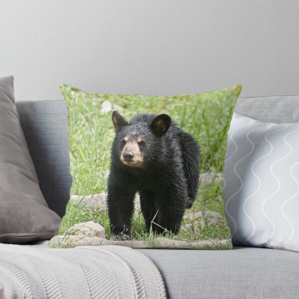 Item preview, What kind of mischief can I get into today!! designed and sold by Tracey  Dryka.