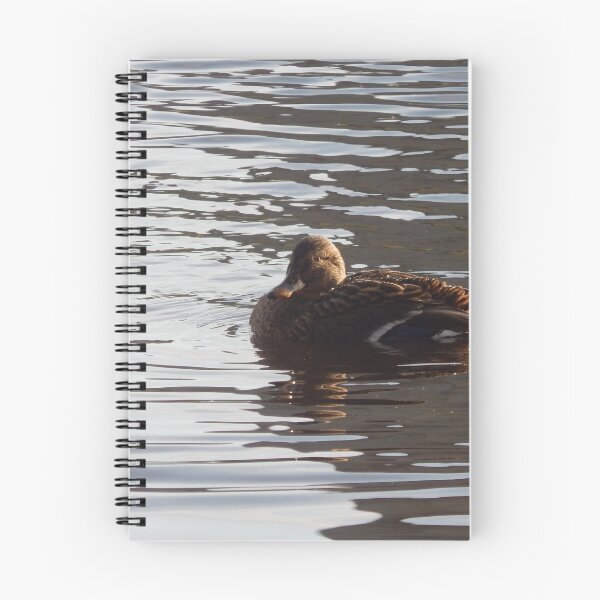 Item preview, Duck near ross castle designed and sold by Craig Egan.