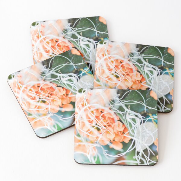 Item preview, Winter flowers designed and sold by dombhai.