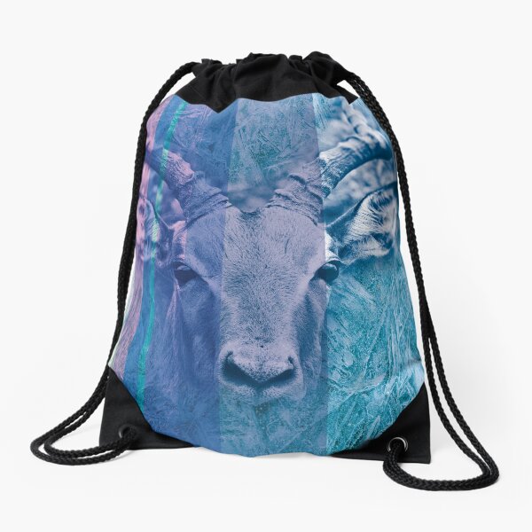 Drawstring Bag