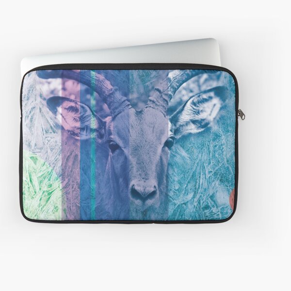 Laptop Sleeve